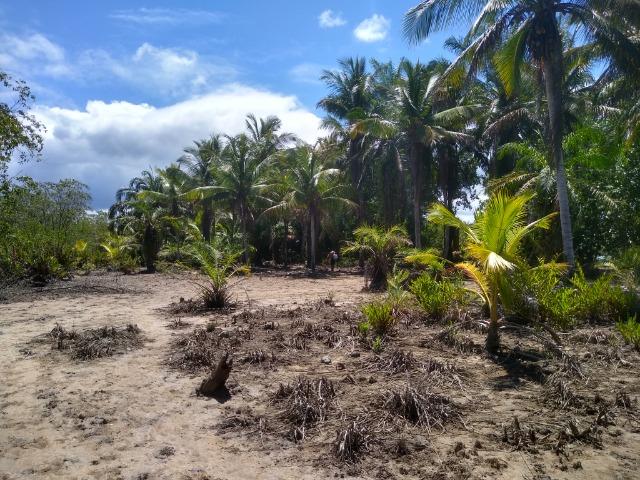 Venda Sítio as margens do Rio de Contas - Foto 5