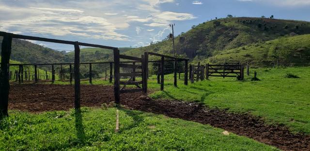 Fazenda 307 hectares localizada na Região sudene em Itambacuri, Leste de Minas Gerais