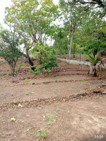 Chácara urbana 2.400 m2 - escriturada - 5 minutos Centro - Foto 7