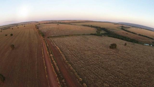ID.12 Fazenda 190 alq. Para Lavoura á venda em Caldas novas-Go - Foto 4