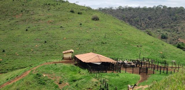 Fazenda 307 hectares localizada na Região sudene em Itambacuri, Leste de Minas Gerais - Foto 9