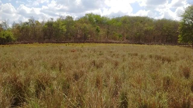 Terreno 8.200,0 m² - Foto 4