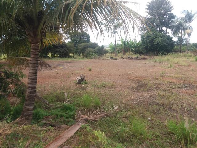 Locação - Chácara próximo à Av. Saul Elkind, 5000 m² com casa sede - Londrina/PR - Foto 11