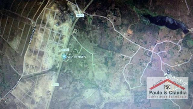 Ótima propriedade em Glória do Goitá, com 1,5 hectare - Foto 15