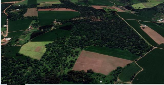 Vendo terreno na localidade da Serrinha em Irineópolis - Foto 6