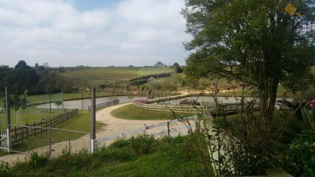 Chácara à venda com 4 dormitórios em Zona rural, Contenda cod:219-16 - Foto 8