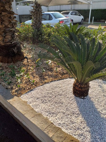 Jardinagem - Foto 4