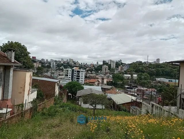Terreno no Salgado Filho - Foto 4
