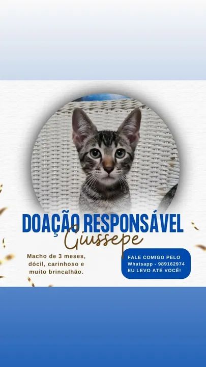 Doação!! Faço a entrega!! - Foto 2