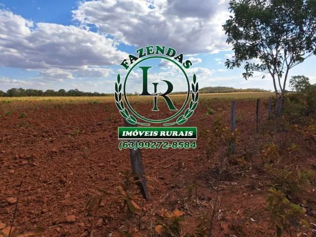 Fazenda de 416 Alqueires Plana - Foto 2