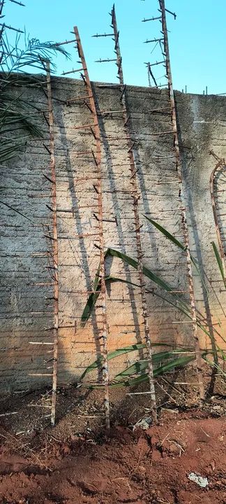 Cerca de proteção  - Foto 2