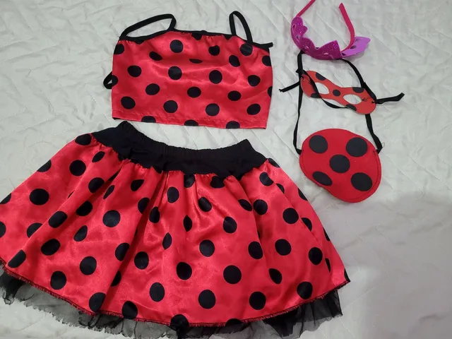 Roupa ladybug 2024 4 anos