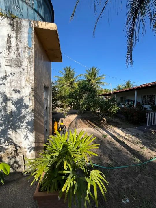 Vendo Chacara na Massaguira - Foto 4