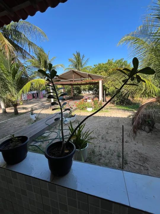 Vendo Chacara na Massaguira - Foto 2