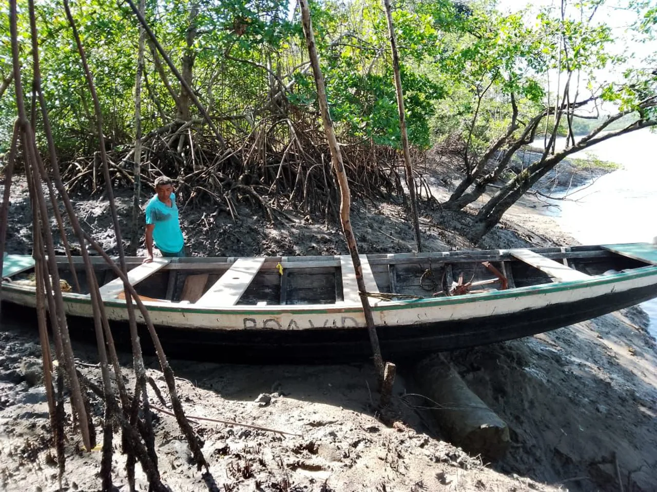 Vendo canoa em ótimo estado