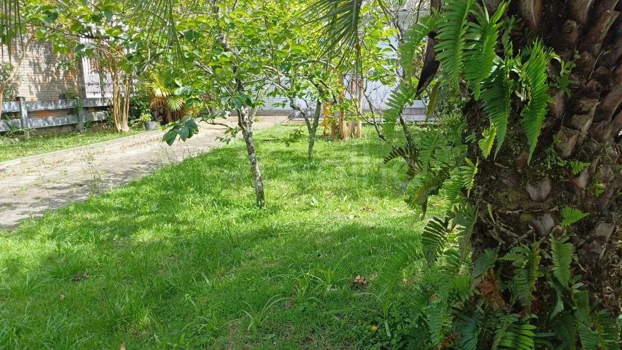 Terreno com 720m² no bairro Daniela, Florianópolis - Foto 3