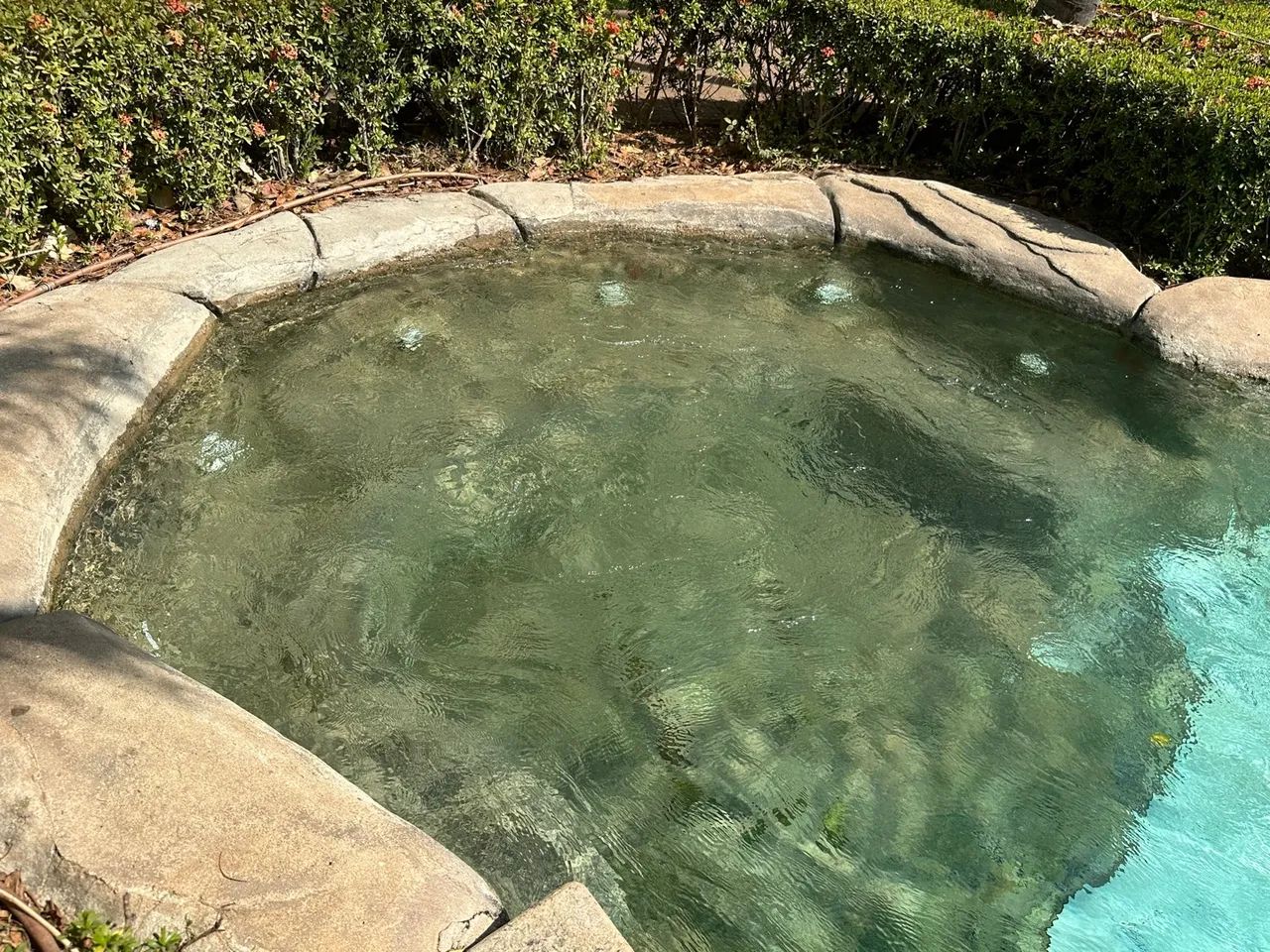 Apartamento com Piscina Água Termal Sauna natureza - Foto 9