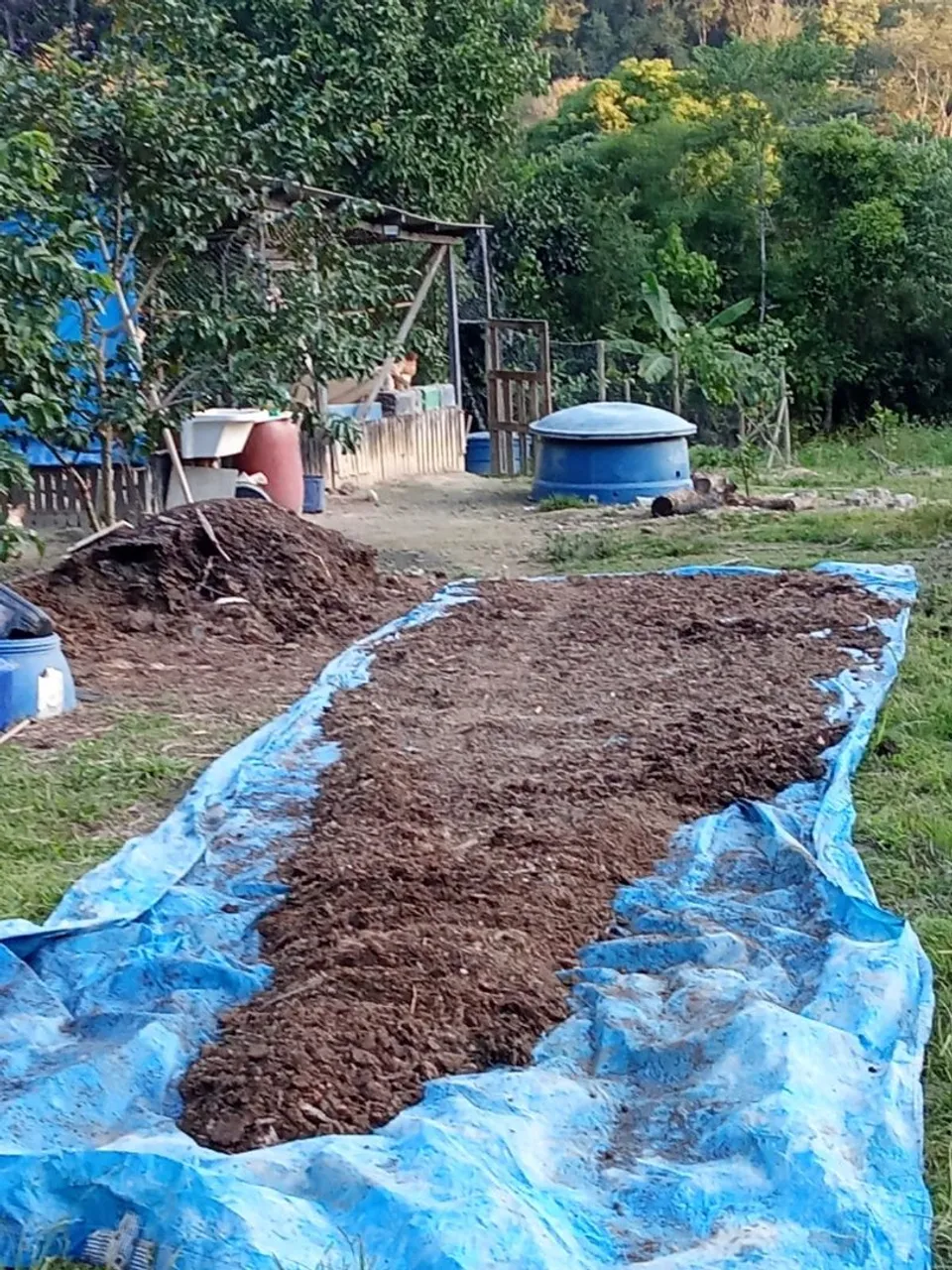 Composto orgânico para hortas e jardins