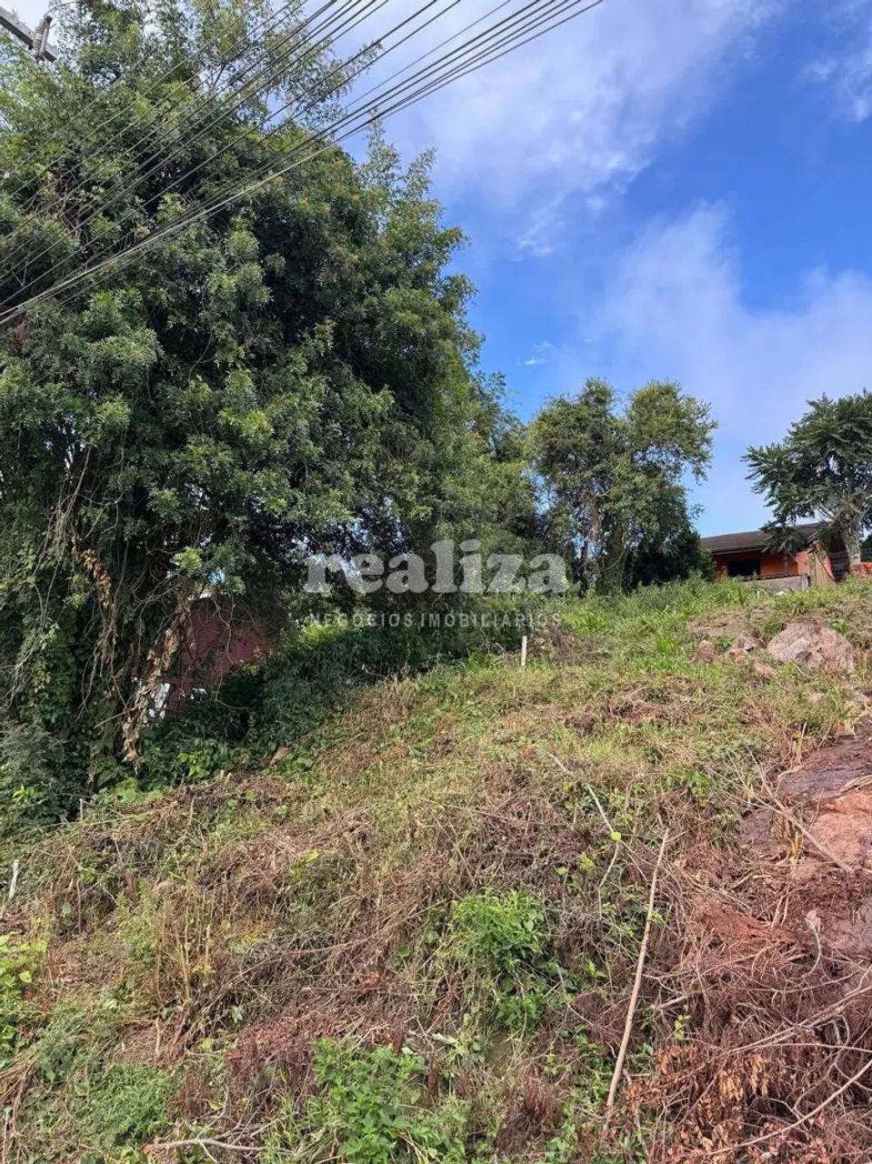 TERRENO NO FLORESTA COM PROJETO APROVADO