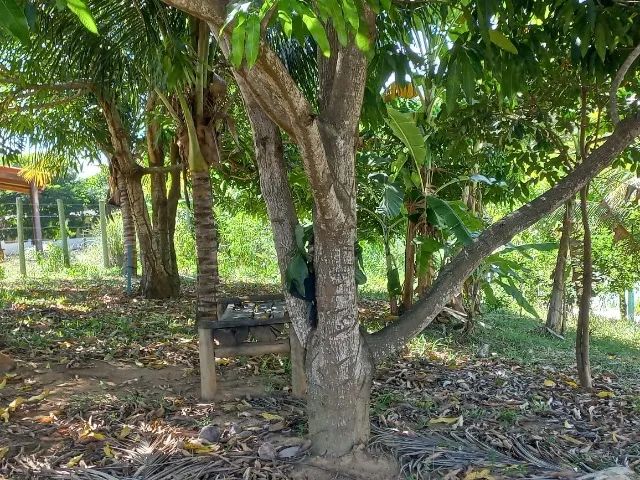 CASA DUPLEX  GUARAPARI E.S C/ LAGOA e DECK - Foto 4