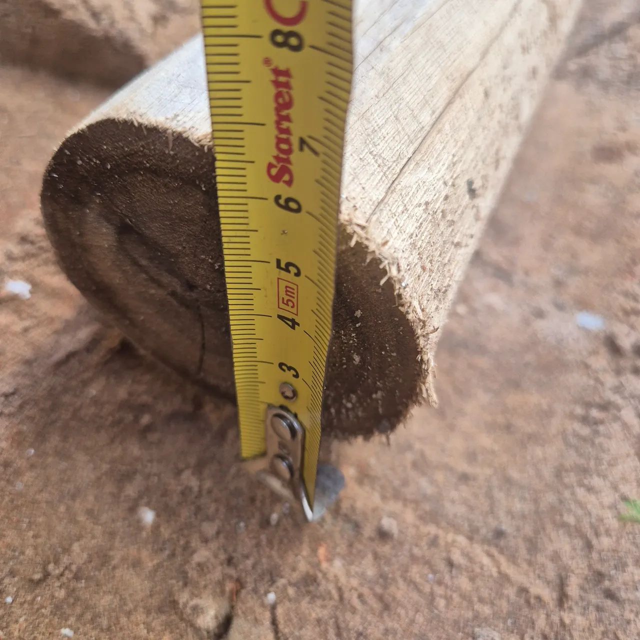 Treated and sanded eucalyptus.64728760641282123