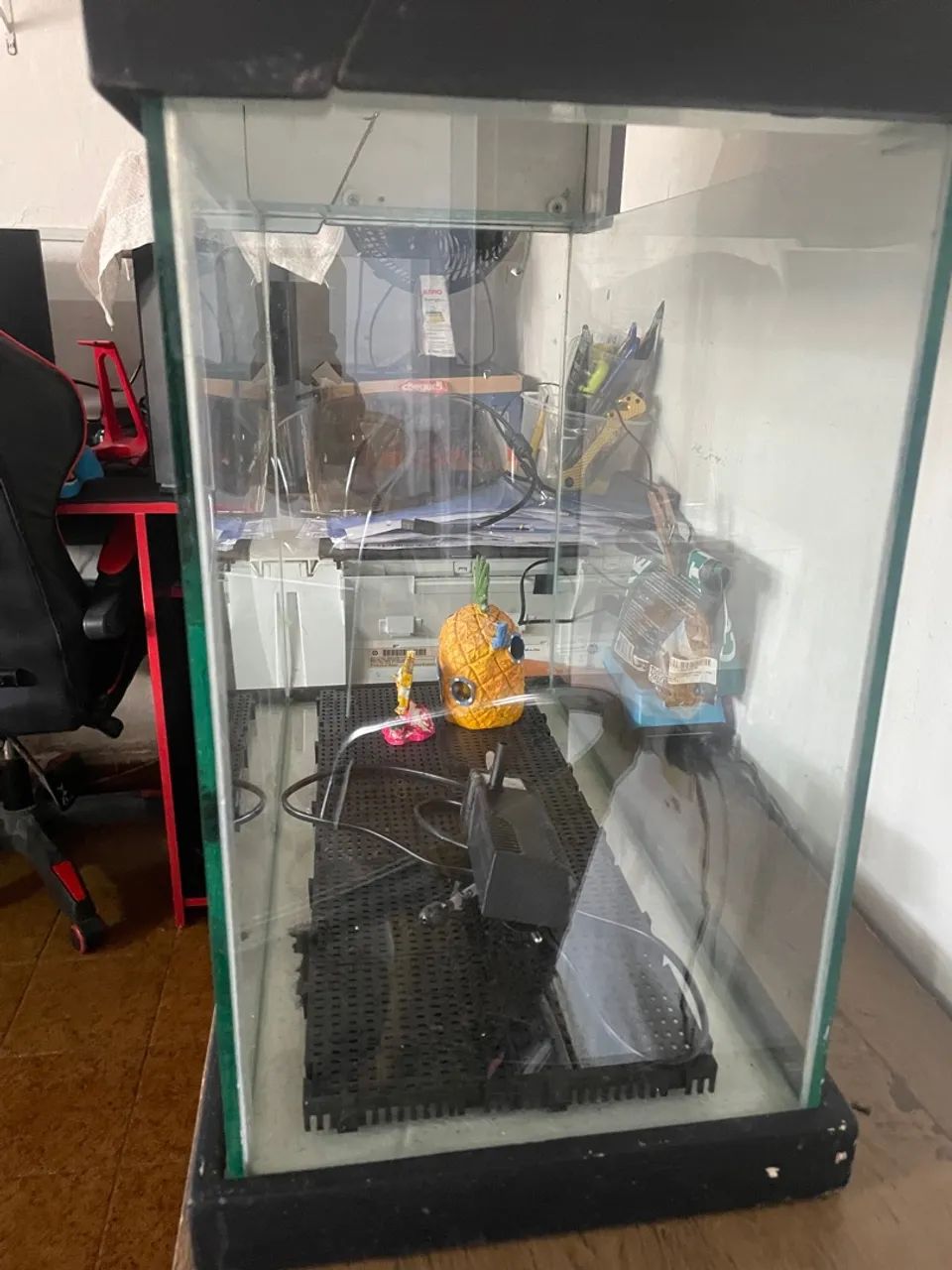 Aquário completo  - Foto 2