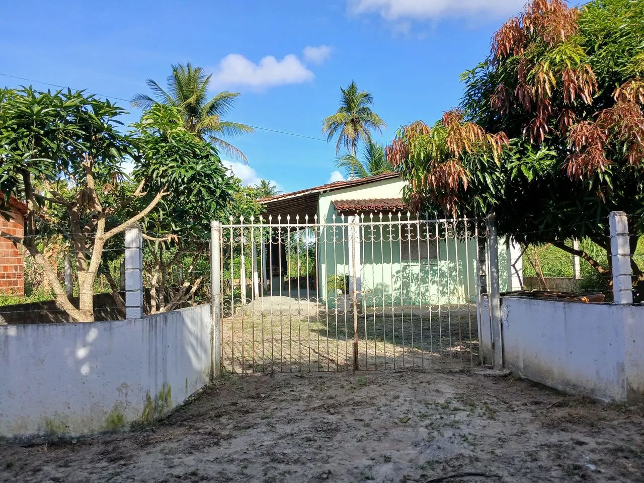 Vendo chácara pequena no povoado estancinha, município de itaporanga djuda  - Foto 3