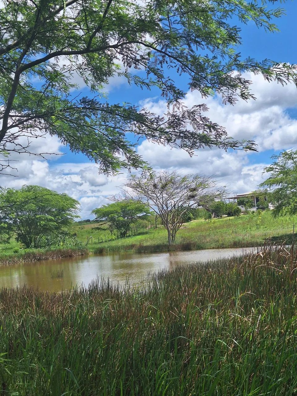 Lindo Sítio  - Foto 4