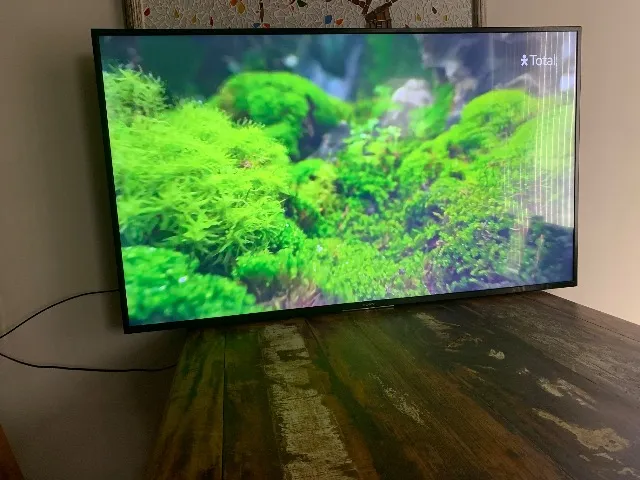 Tv Sony bravia 55 ?