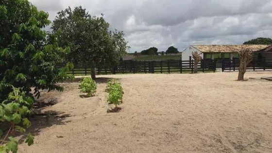 Fazenda com 170 hectares na região de monte alegre - Foto 2