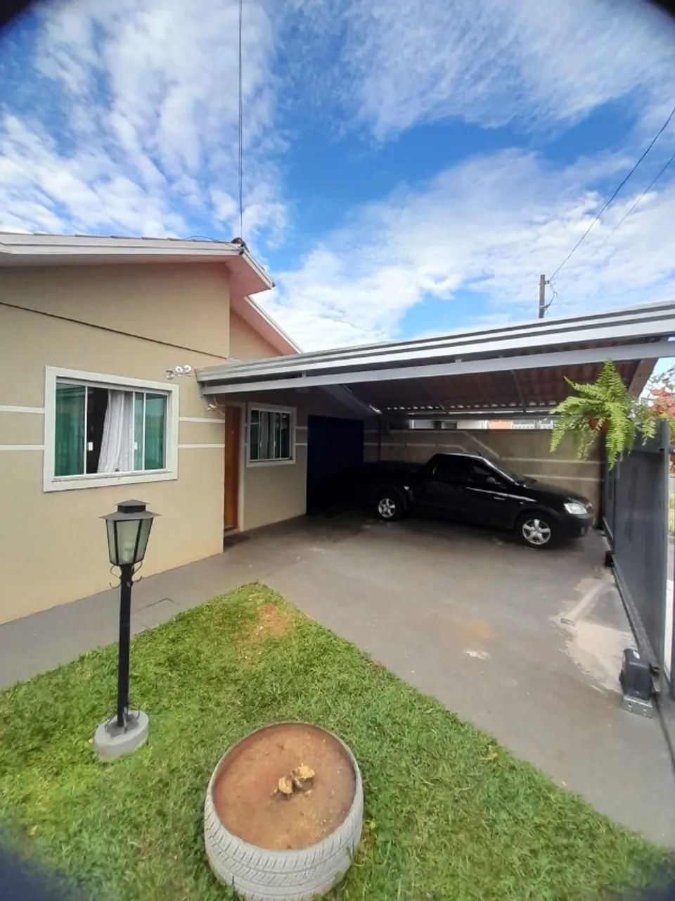 Foto - Ponta Grossa - Cará-cará