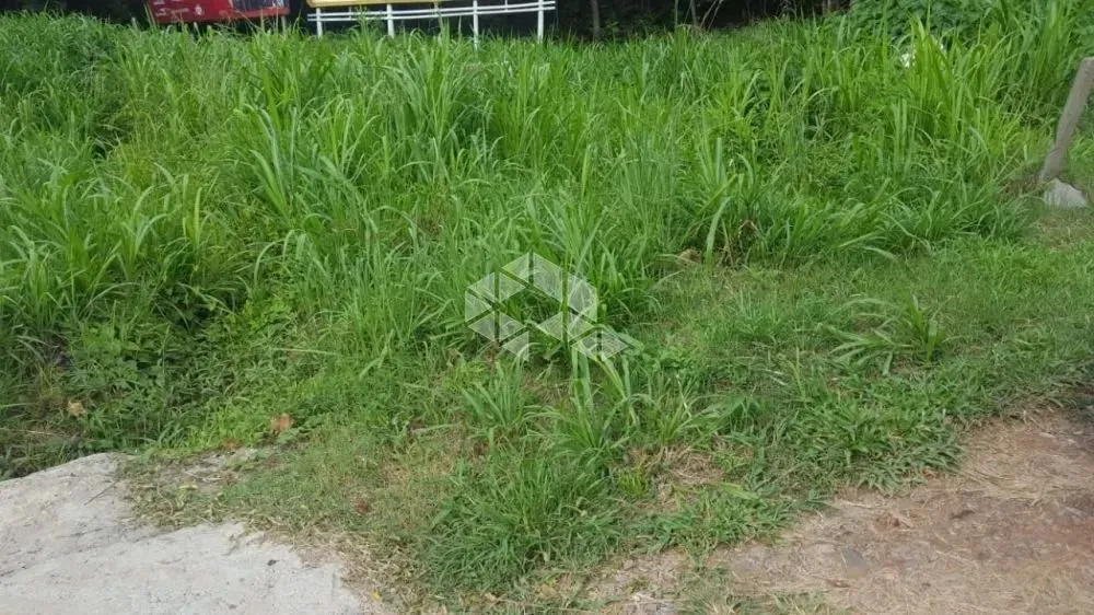 Terreno com 1.175,59 m² de frente para a BR 116