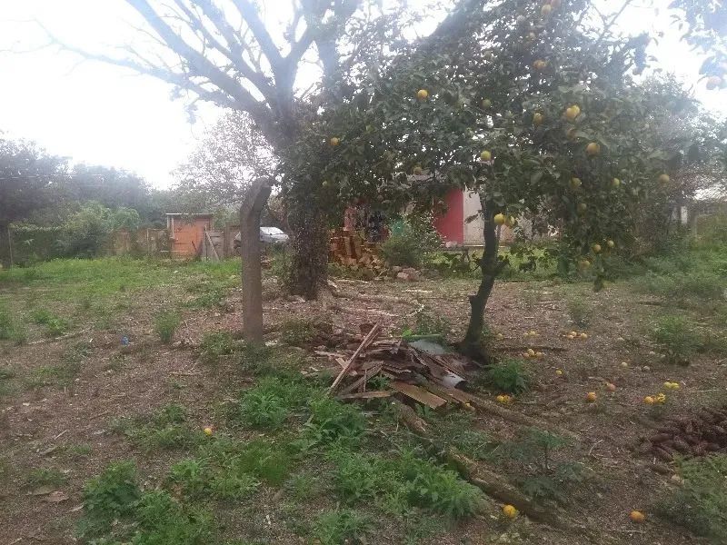 Belo terreno com 2 casas que podem servir para moradia, localizado no bairro Restinga, óti - Foto 4