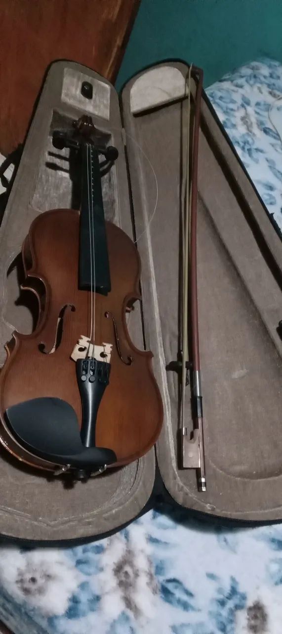Violino e Arco em Estojo