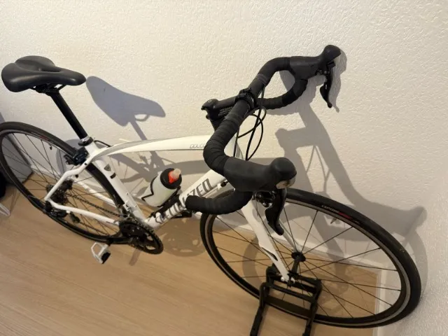 specialized dolce