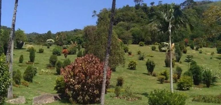 Vendo Jazigo no Cemitério  Parque da Colina em Niterói.   - Foto 5
