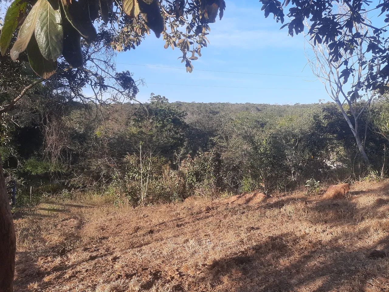 500 há com muita água em MG - Foto 3