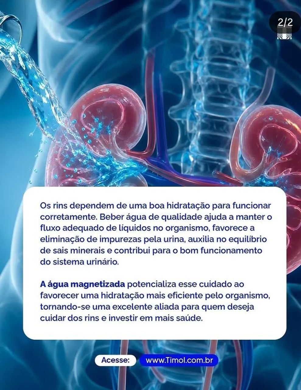 Sylocimol  - Foto 4