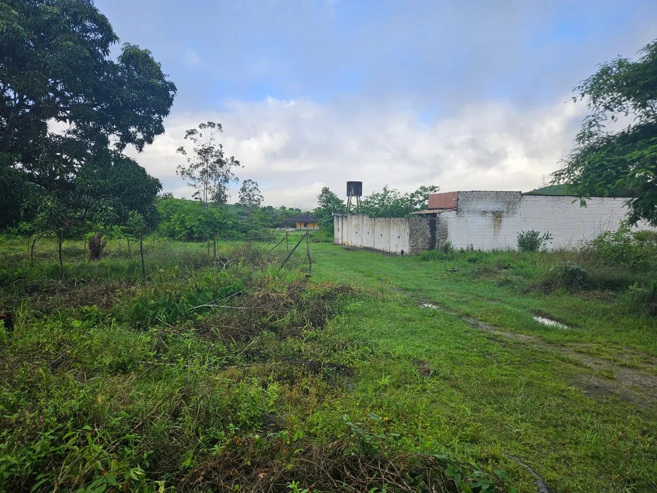 Lotes Parcelado União dos Palmares | Fazenda Sementeira - Foto 4