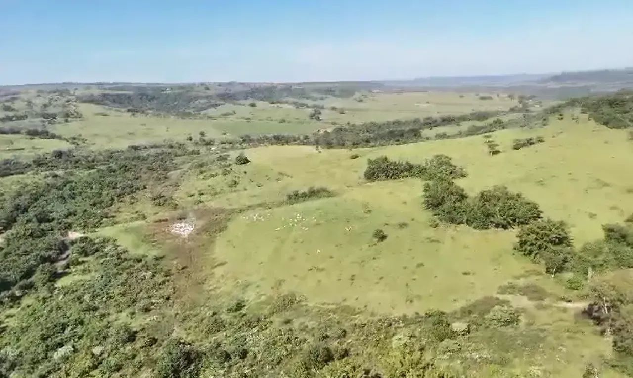 Fazenda a venda em SP. CENTRO OESTE.