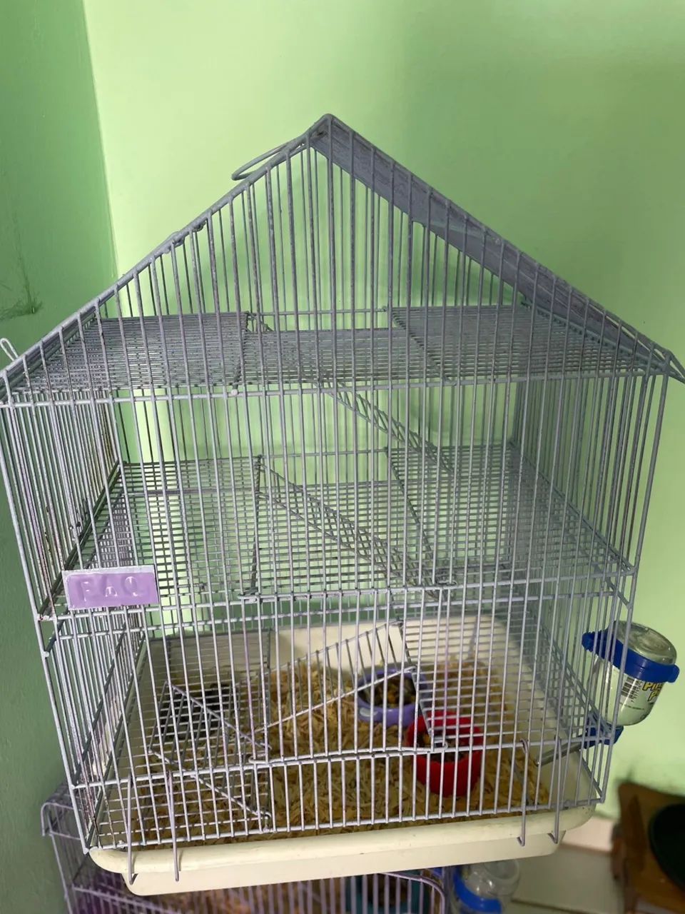 Hamister anão russo mais gaiolas  - Foto 5