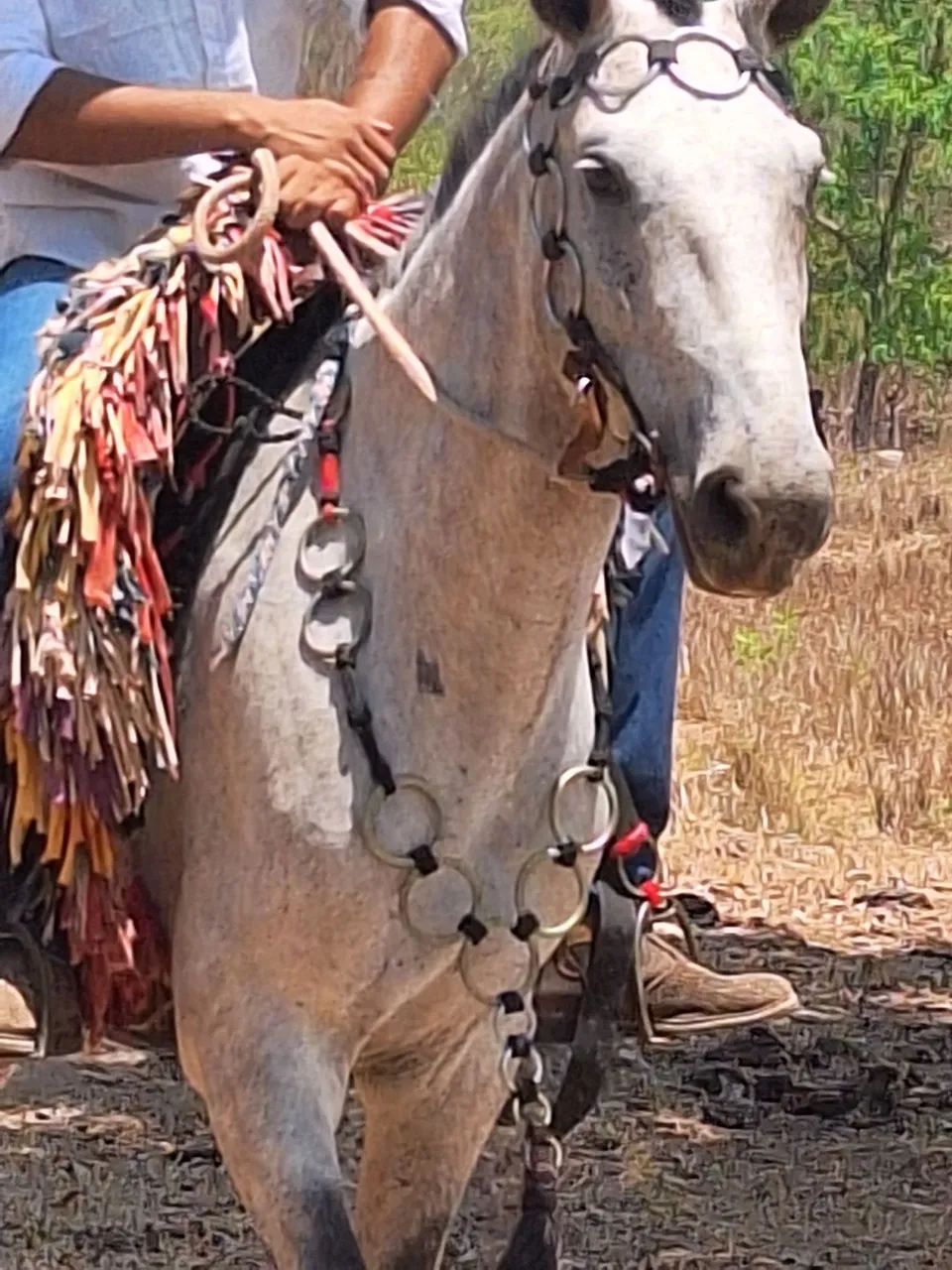 Peitoral de argola de alpaca 