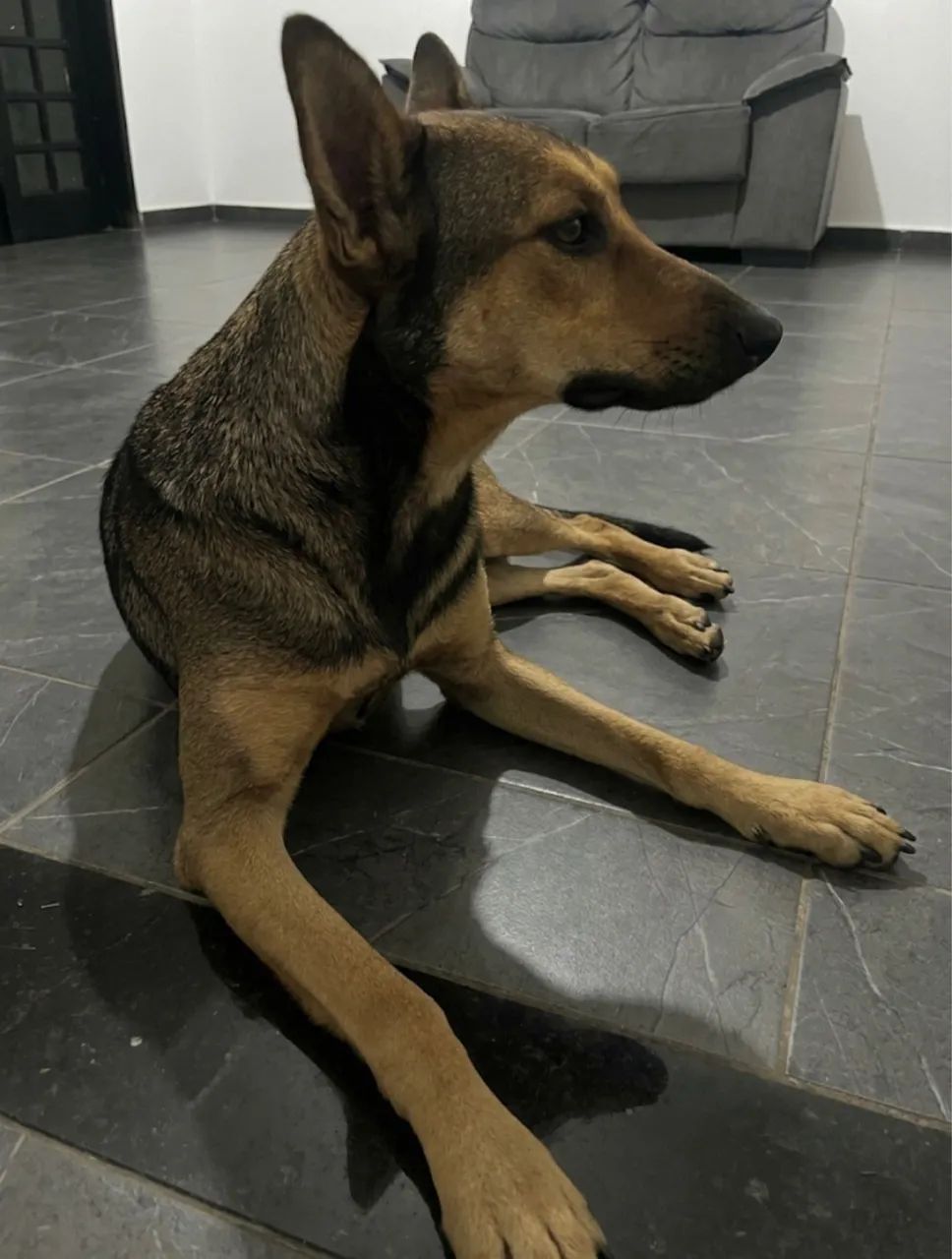 Doação - Foto 3