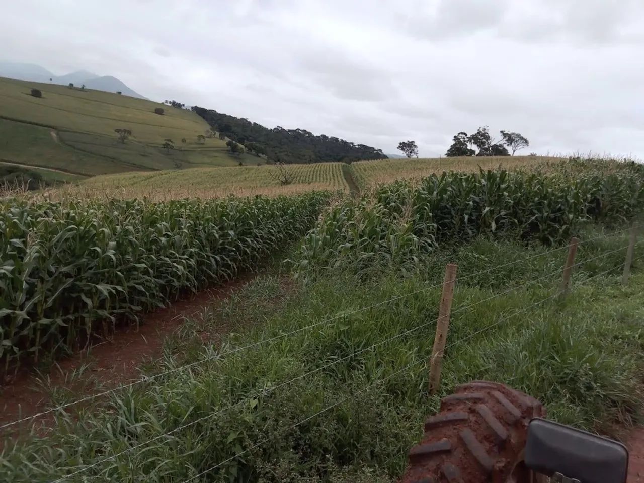 Fazenda com 130,80 hectares e curral completo em Itamonte - MG.