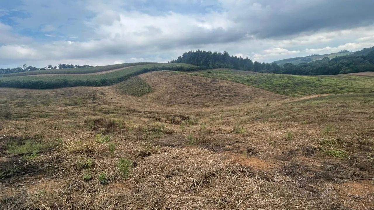 Terreno com Pinus em Agudos do Sul - Foto 2
