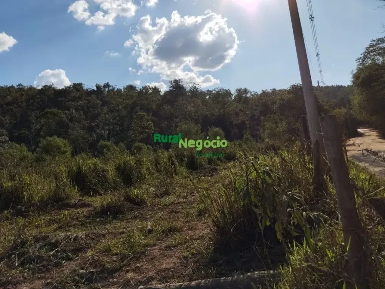CHÁCARAS SEM BENFEITORIAS Á VENDA EM CANAS-SP - Foto 2