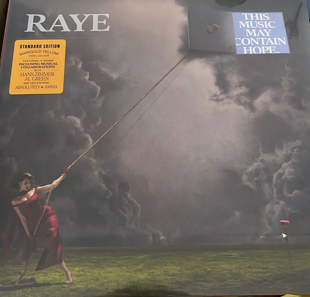 Raye This Music May Contain Hope lp  - Foto 2