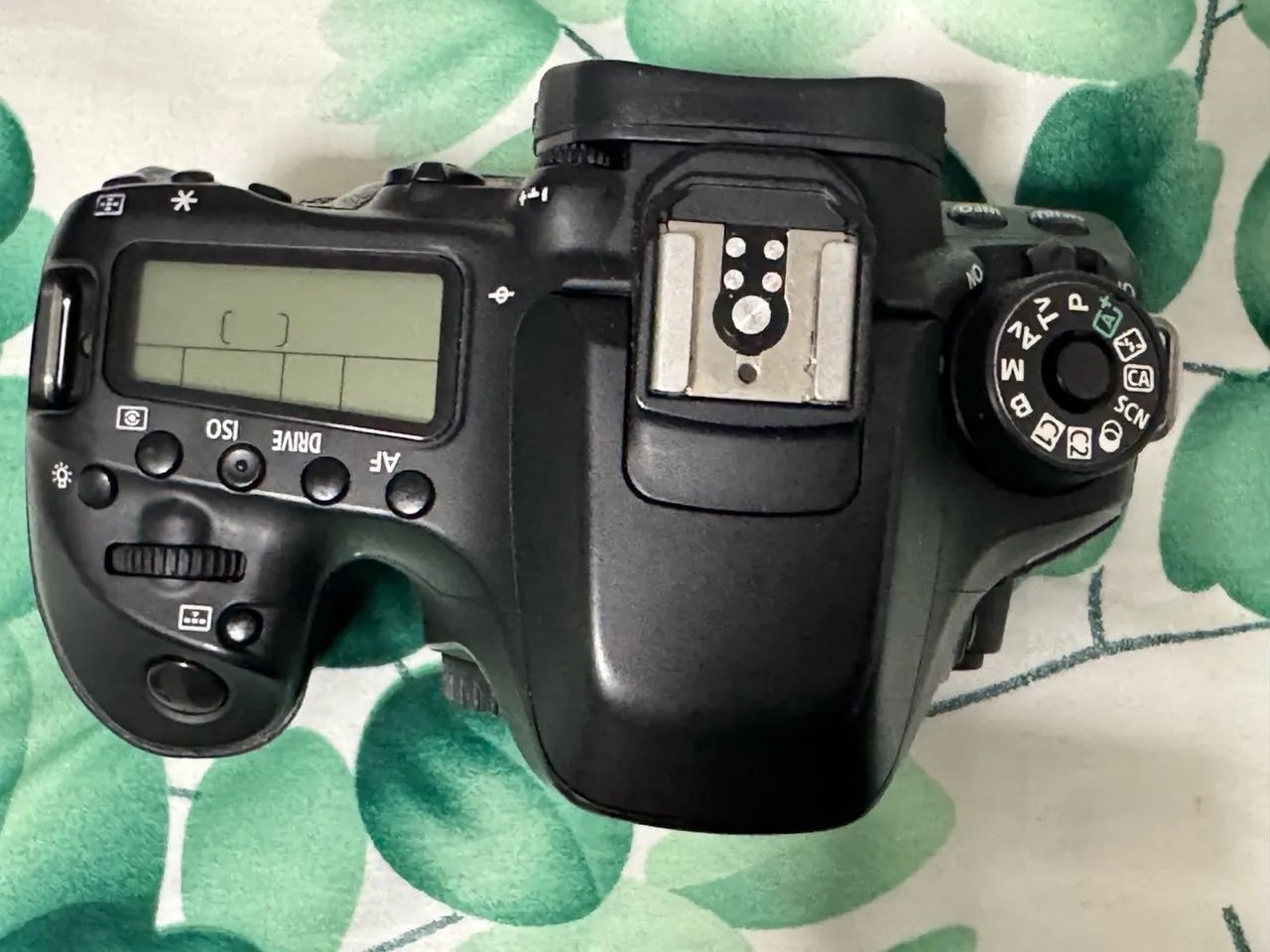 Canon 80D - Foto 3