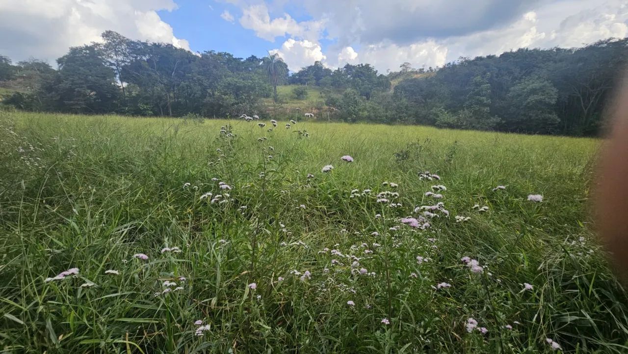 Área rural em serra azul mateus leme  - Foto 4