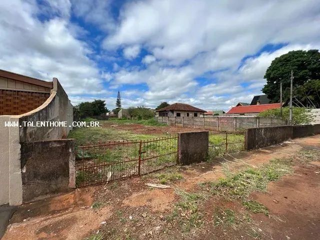 Terreno para Venda em Rolândia, Centro - Foto 3